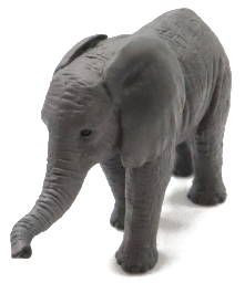 Mojo African Elephant Calf with Trunk Down - Front Angle View